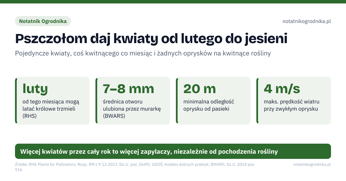 Pszczołom daj kwiaty od lutego do jesieni. luty – od tego miesiąca mogą latać królowe trzmieli (RHS); 7–8 mm – średnica otworu ulubiona przez murarkę (BWARS); 20 m – minimalna odległość oprysku od pasieki; 4 m/s – maks. prędkość wiatru przy zwykłym oprysku. Źle: nawłoć kanadyjska i trojeść amerykańska „dla pszczół”, pełne, wielopłatkowe kwiaty bez dostępu do pyłku, oprysk na kwitnące rośliny w czasie lotu pszczół, plastikowe słomki w domku dla pszczół. Dobrze: rodzime gatunki: wierzby, lipa, macierzanka, wrzos, bluszcz, kwitnienie od przedwiośnia po październik bez przerw, zostawione mniszki i koniczyna, rzadsze koszenie, trzcina lub bambus 7–8 mm, wylot na południe lub wschód. Więcej kwiatów przez cały rok to więcej zapylaczy, niezależnie od pochodzenia rośliny