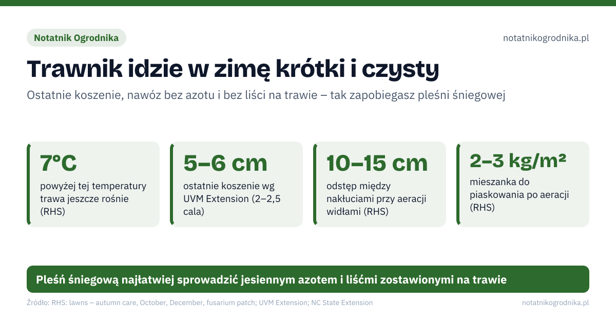 Trawnik idzie w zimę krótki i czysty. 7°C – powyżej tej temperatury trawa jeszcze rośnie (RHS); 5–6 cm – ostatnie koszenie wg UVM Extension (2–2,5 cala); 10–15 cm – odstęp między nakłuciami przy aeracji widłami (RHS); 2–3 kg/m² – mieszanka do piaskowania po aeracji (RHS). Źle: resztki letniego nawozu z dużą ilością azotu, mokre liście leżące na trawniku do wiosny, spacer po oszronionej trawie, wertykulacja w mróz albo na podmokłej glebie. Dobrze: nawóz jesienny – tylko jeśli trawa słabo rośnie, grabienie liści na kompost lub ziemię liściową, ostatnie koszenie przy suchej pogodzie, wertykulacja i aeracja we wrześniu–październiku. Pleśń śniegową najłatwiej sprowadzić jesiennym azotem i liśćmi zostawionymi na trawie