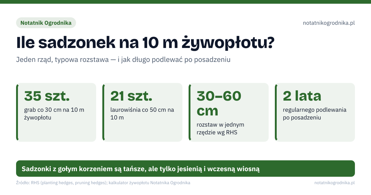 Ile sadzonek na 10 m żywopłotu?. 35 szt. – grab co 30 cm na 10 m żywopłotu; 21 szt. – laurowiśnia co 50 cm na 10 m; 30–60 cm – rozstaw w jednym rzędzie wg RHS; 2 lata – regularnego podlewania po posadzeniu. Wrzesień: zimozielone: laurowiśnia, cis, ostrokrzew, bukszpan; Paź–lis: liściaste z gołym korzeniem po opadnięciu liści; Luty–marzec: młody liściasty żywopłot: skróć przyrosty o ok. 1/3. Sadzonki z gołym korzeniem są tańsze, ale tylko jesienią i wczesną wiosną