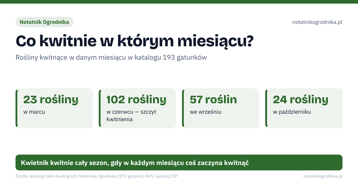Co kwitnie w którym miesiącu?. 23 rośliny – w marcu; 102 rośliny – w czerwcu — szczyt kwitnienia; 57 roślin – we wrześniu; 24 rośliny – w październiku. Luty–marzec: śnieżyczki i krokusy; Kwiecień–maj: szafirki i tulipany, pod koniec maja piwonie; Lato: od czerwca lawenda, szałwia i róże, od lipca jeżówki i rudbekie; Jesień: IX–X: rozchodniki, zawilce japońskie, wrzosy, chryzantemy. Kwietnik kwitnie cały sezon, gdy w każdym miesiącu coś zaczyna kwitnąć